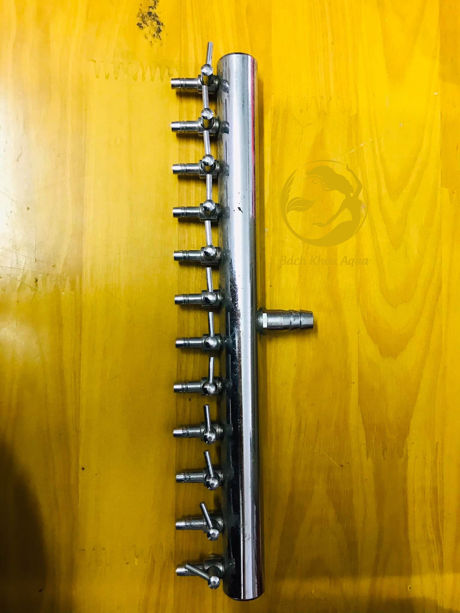 Chia sủi Inox - To